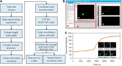 A portable system for economical nucleic acid amplification testing